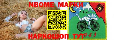 шишки Берёзовский