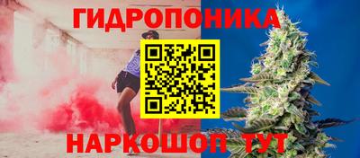 ГАЛЛЮЦИНОГЕННЫЕ ГРИБЫ Бийск