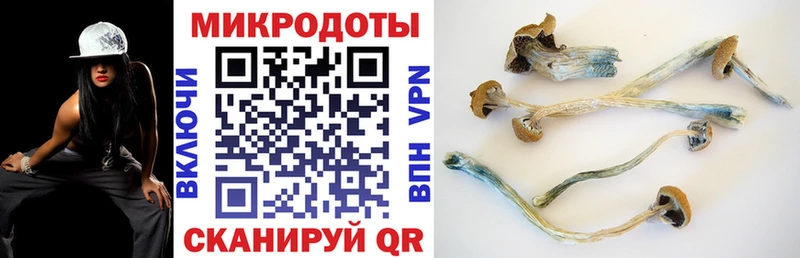 где найти наркотики  Верхний Уфалей  Псилоцибиновые грибы Cubensis 