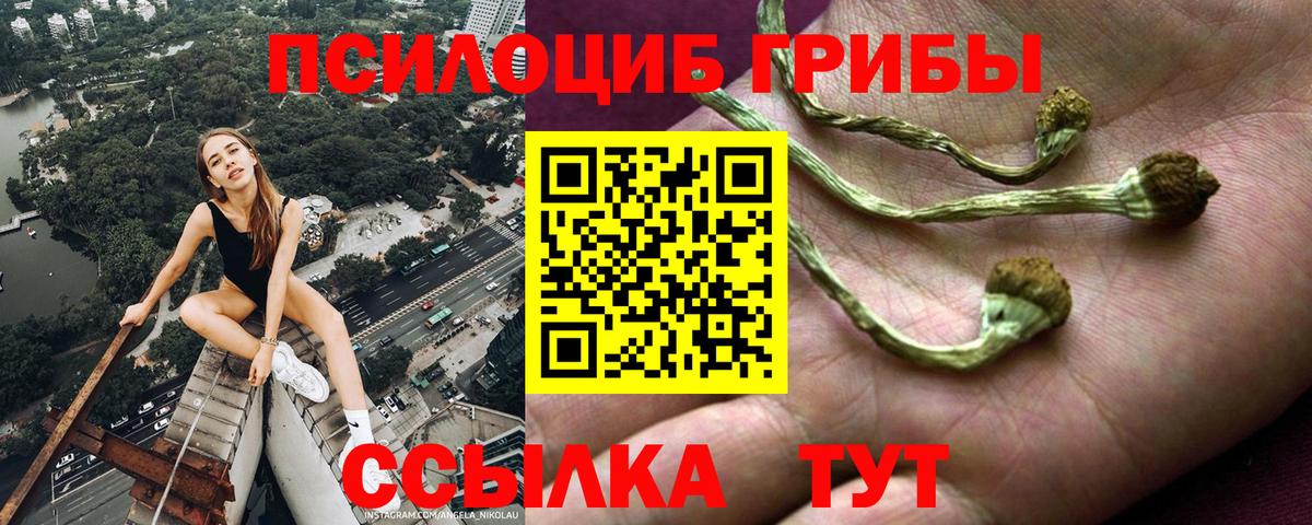 Псилоцибиновые грибы Magic Shrooms Верхний Уфалей