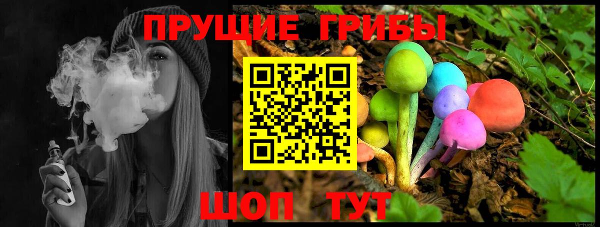 Верхний Уфалей  Псилоцибиновые грибы мухоморы  Вход с VPN 